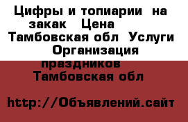 Цифры и топиарии  на закак › Цена ­ 500 - Тамбовская обл. Услуги » Организация праздников   . Тамбовская обл.